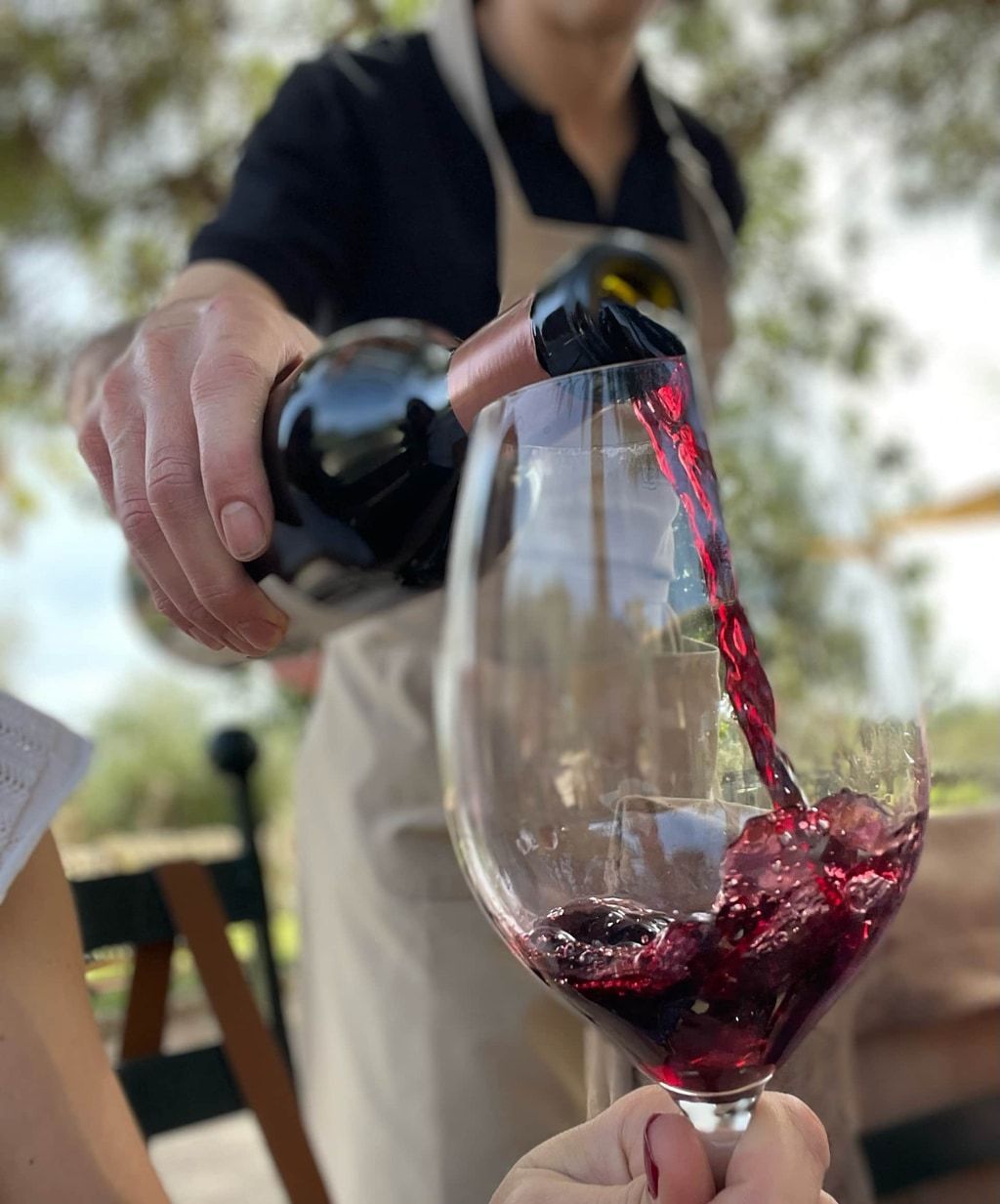 Una persona vierte vino tinto en una copa; el escenario es al aire libre, con árboles al fondo.