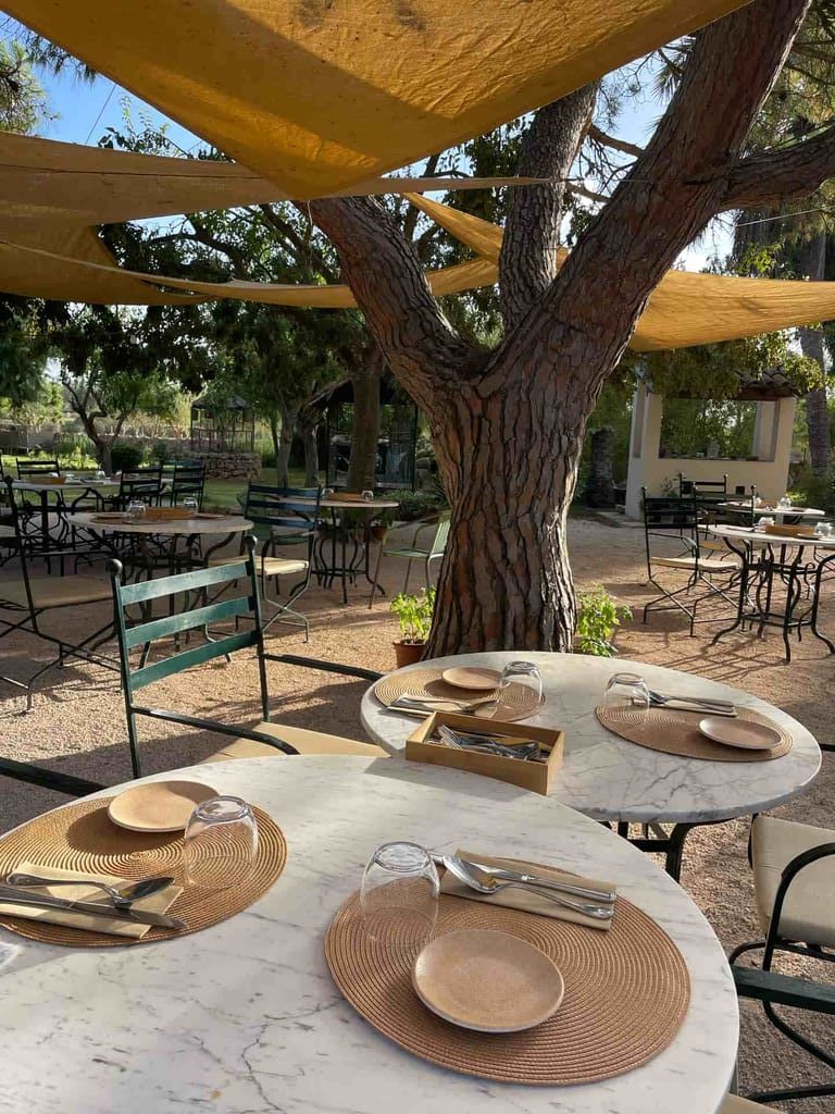 Restaurante al aire libre bajo un gran árbol, con mesas redondas de mármol y platos, vasos y cubiertos. Velas de sombra beige en el techo.