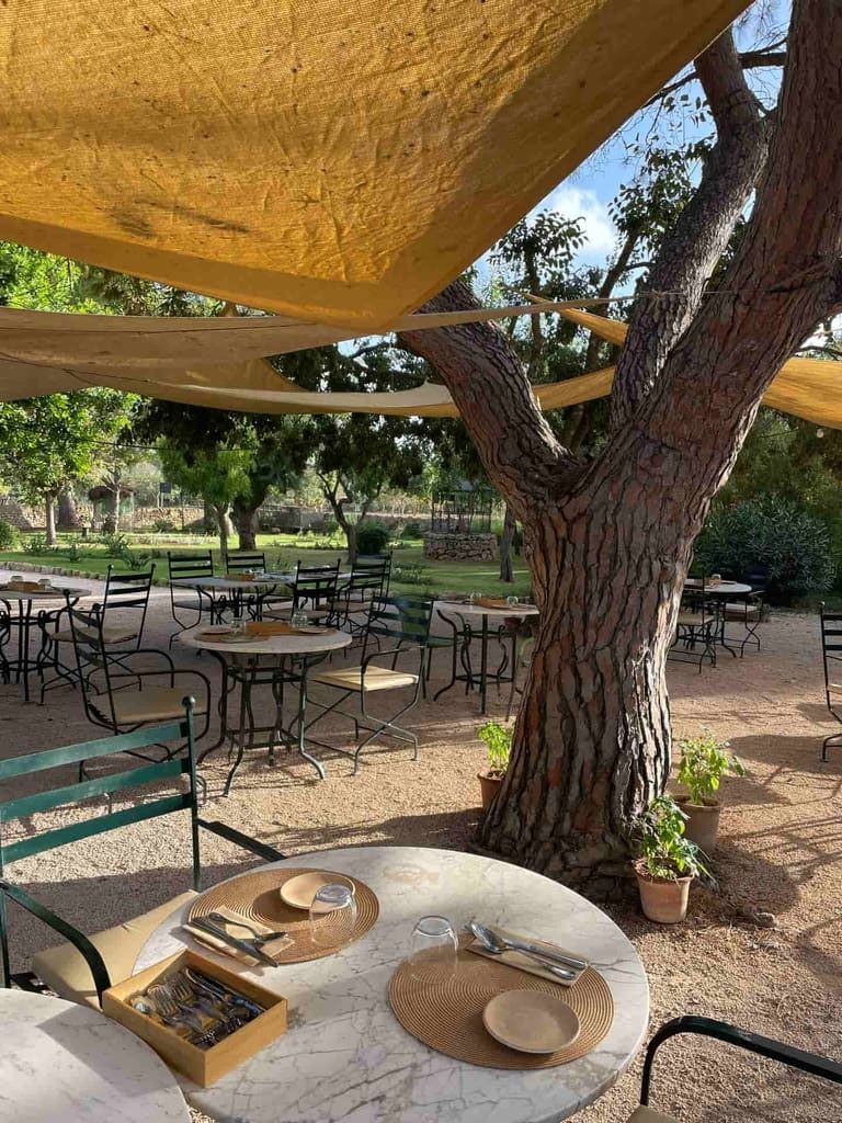 Comedor al aire libre bajo un dosel, con mesas, sillas y un gran árbol. Una lona marrón proporciona protección.