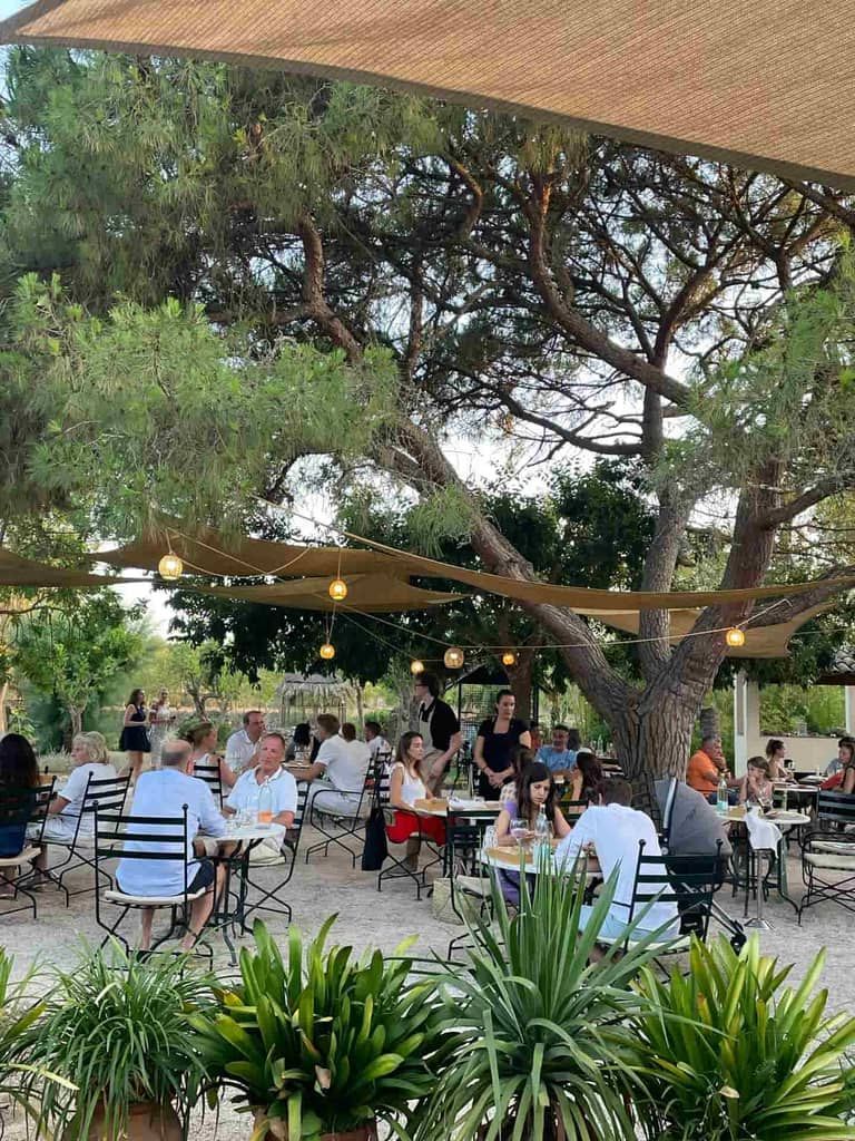 Restaurante al aire libre bajo un gran árbol, con gente sentada en mesas, algunos comiendo y conversando. Un toldo proporciona sombra.