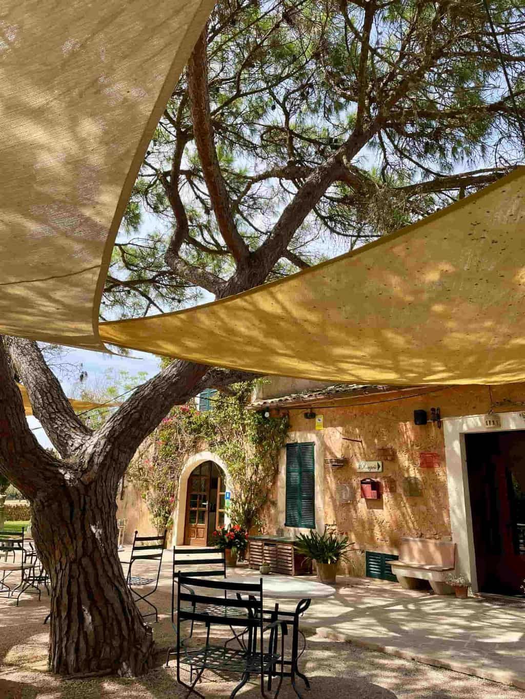 Una cafetería en el patio, a la sombra de velas de lona, con un gran árbol, mesas y un edificio rústico con una entrada arqueada.