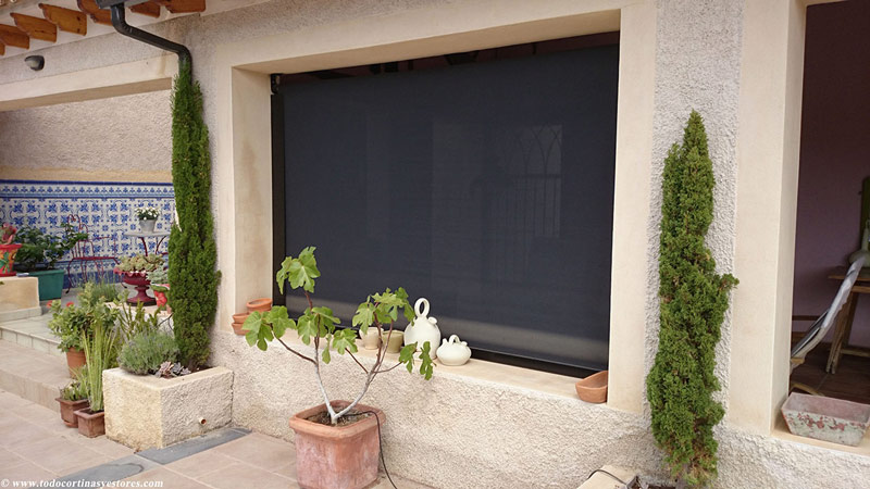 Una ventana con mosquitera está rodeada de plantas en macetas.