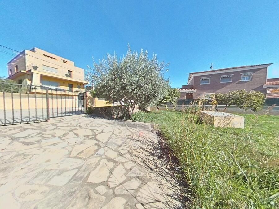 El camino de piedra conduce a un patio con un árbol, césped y casas bajo un cielo azul.
