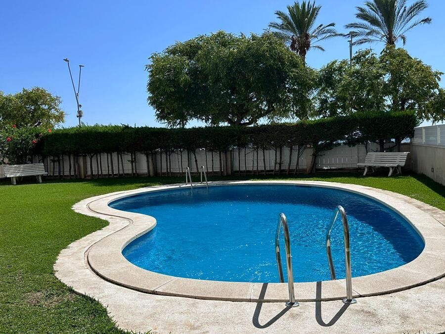 Una piscina azul, en forma de riñón, rodeada de césped verde, con dos bancos, setos y palmeras al fondo.