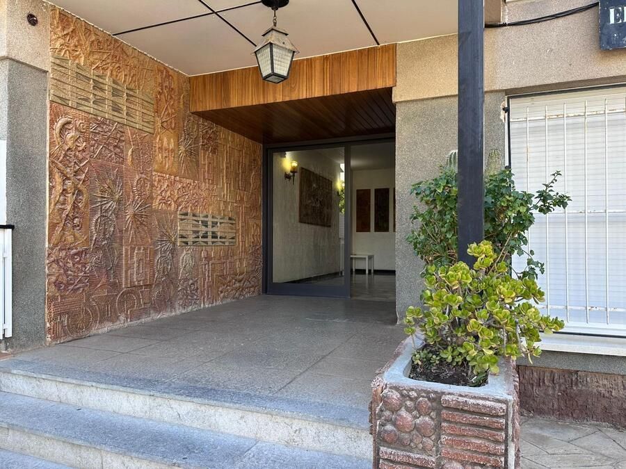 Entrada del edificio con pared marrón texturizada, escalones de hormigón y una pequeña planta.