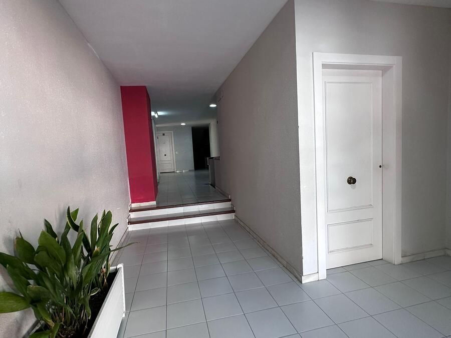 Pasillo estrecho con puerta blanca, planta en maceta y pared con acento rojo.