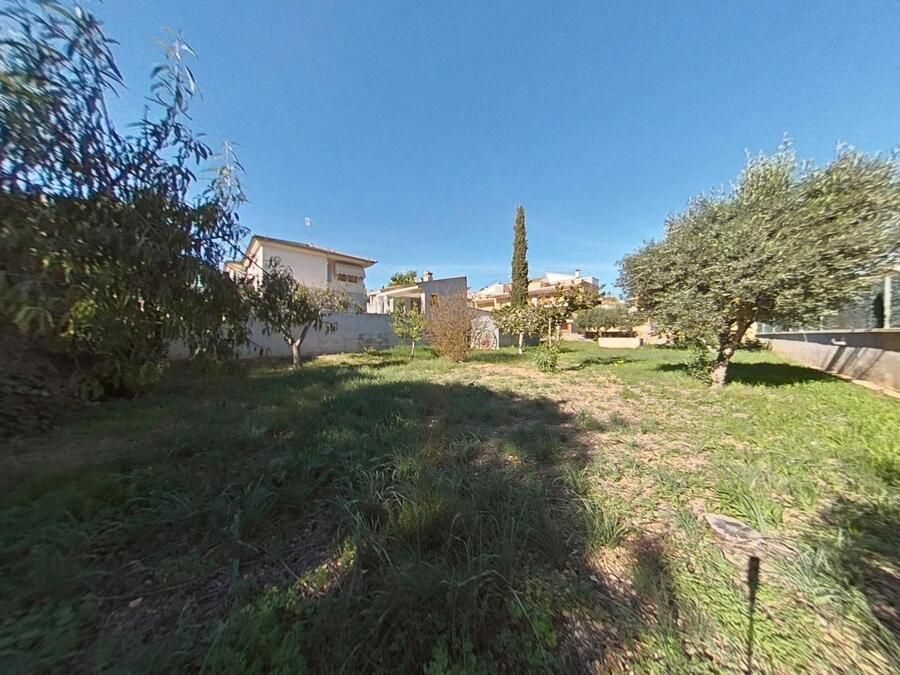 Patio cubierto de hierba con árboles, un edificio al fondo y un cielo azul claro.