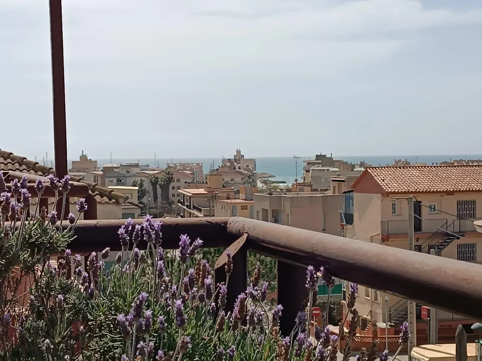 Una vista de una ciudad desde un balcón con flores moradas en primer plano.