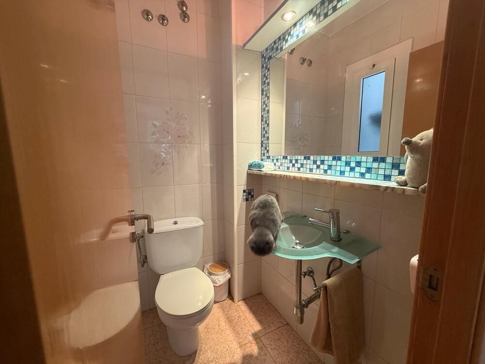 Pequeño baño con inodoro blanco, lavabo de cristal y marco de espejo con azulejos azules.
