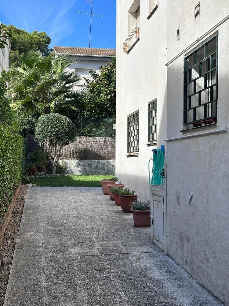 Estrecho camino de hormigón entre un edificio blanco y un jardín con plantas en macetas bajo un cielo soleado.
