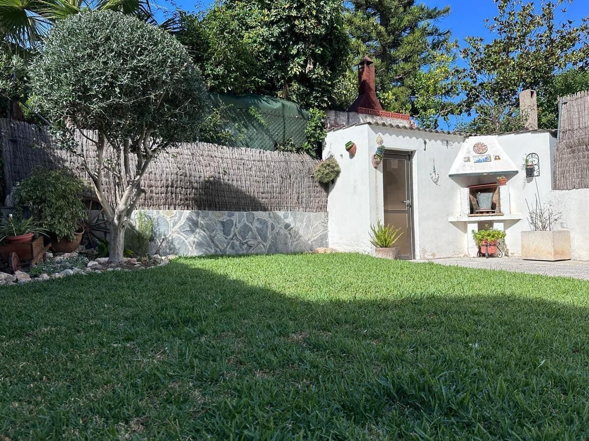 Patio trasero verde con olivo, zona de parrilla y césped.