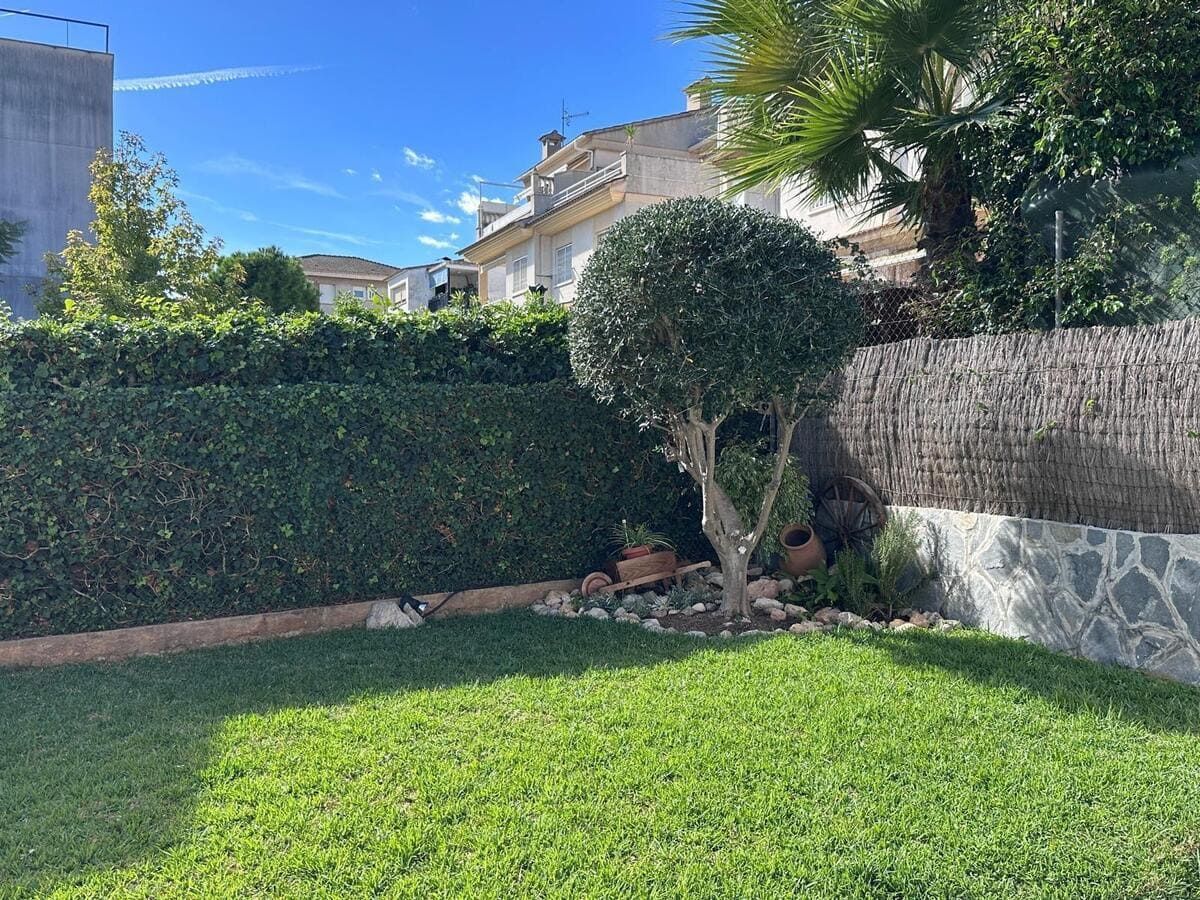 Césped verde con un árbol podado y seto, edificios al fondo bajo un cielo azul.