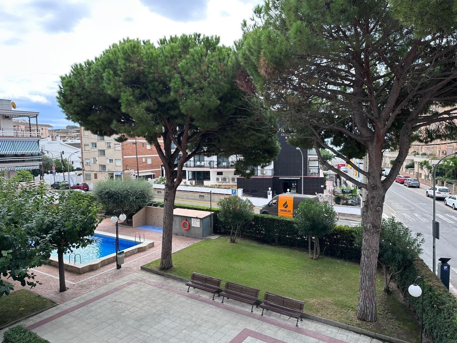 Una piscina, árboles y césped en un patio con edificios y una calle visibles.