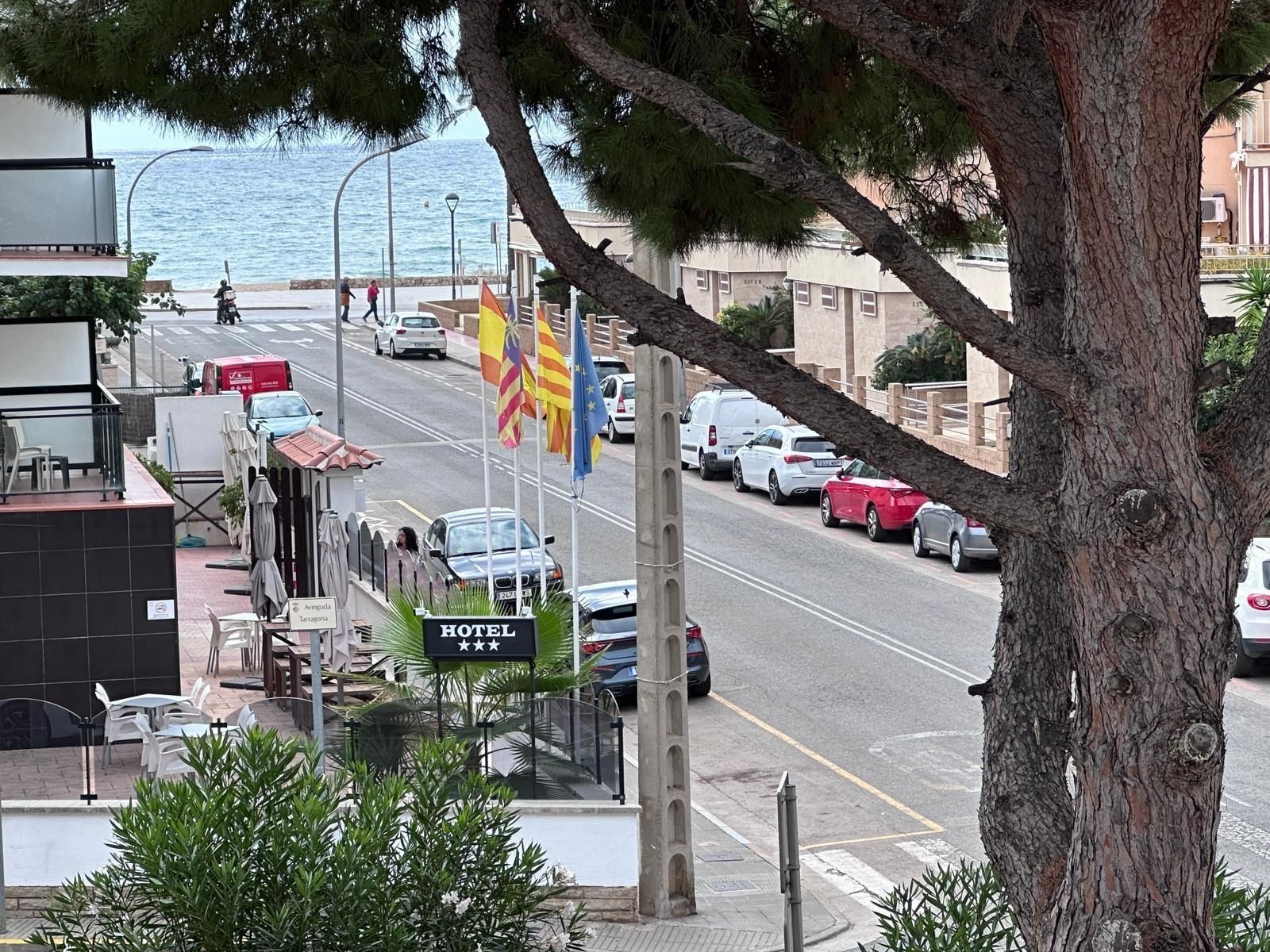Escena callejera con coches, edificios, banderas y el océano al fondo; árbol en primer plano.