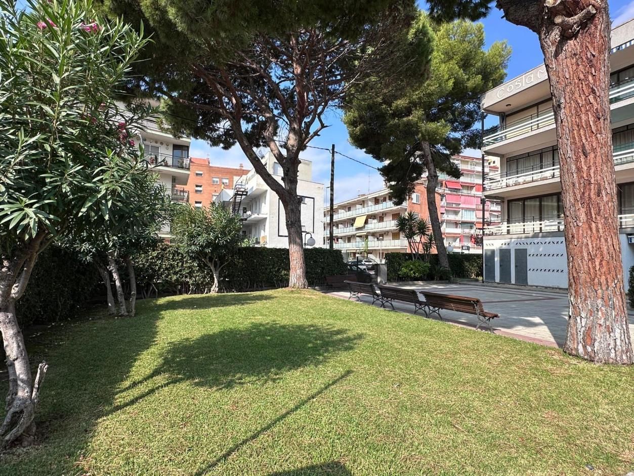 Exuberante patio verde con árboles y edificios al fondo. Día soleado.