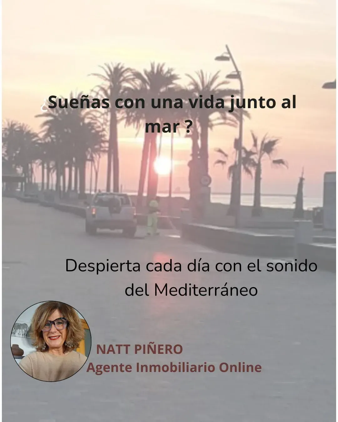 A poster with a picture of palm trees and the words sueñas con una vida junto al mar