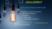 Gallois Bat