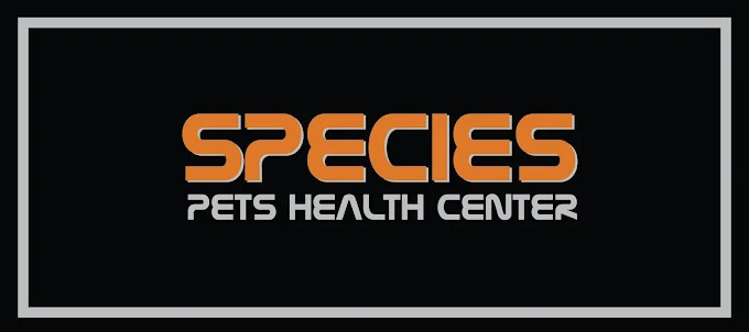 Species Veterinaria - Clínica
