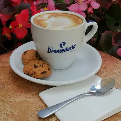 Taza de capuchino y galletas con chispas de chocolate en un platillo, con una cuchara y una servilleta sobre una mesa, flores en el fondo.