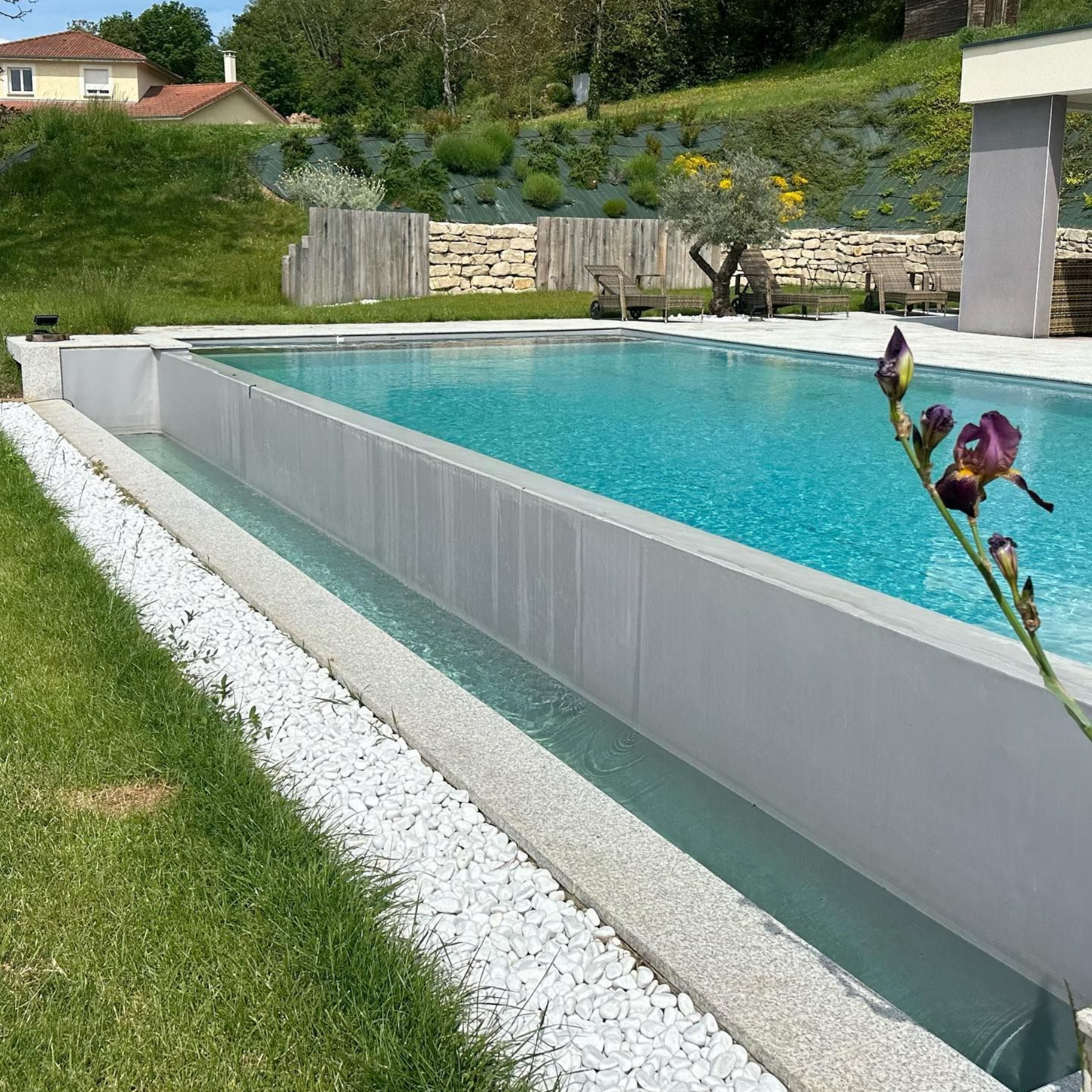 Une piscine moderne à débordement, entourée de gazon et de pierres blanches.