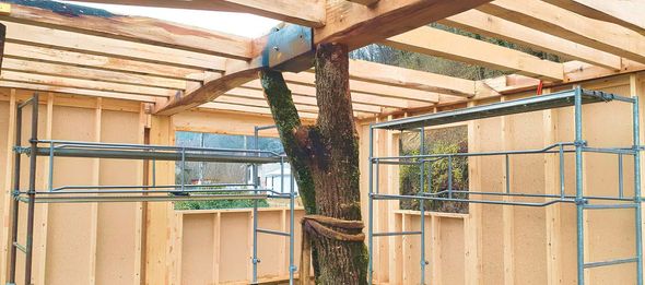 Maison en bois en construction, avec tronc d'arbre soutenant les poutres du toit et l'échafaudage.