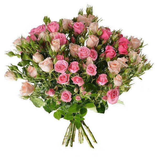 Bouquet de roses rose