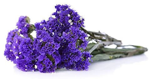 Bouquet de fleurs violettes