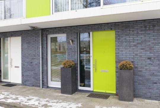 Hilera de casas adosadas modernas con ladrillos grises, puertas de color verde brillante y plantas en macetas.