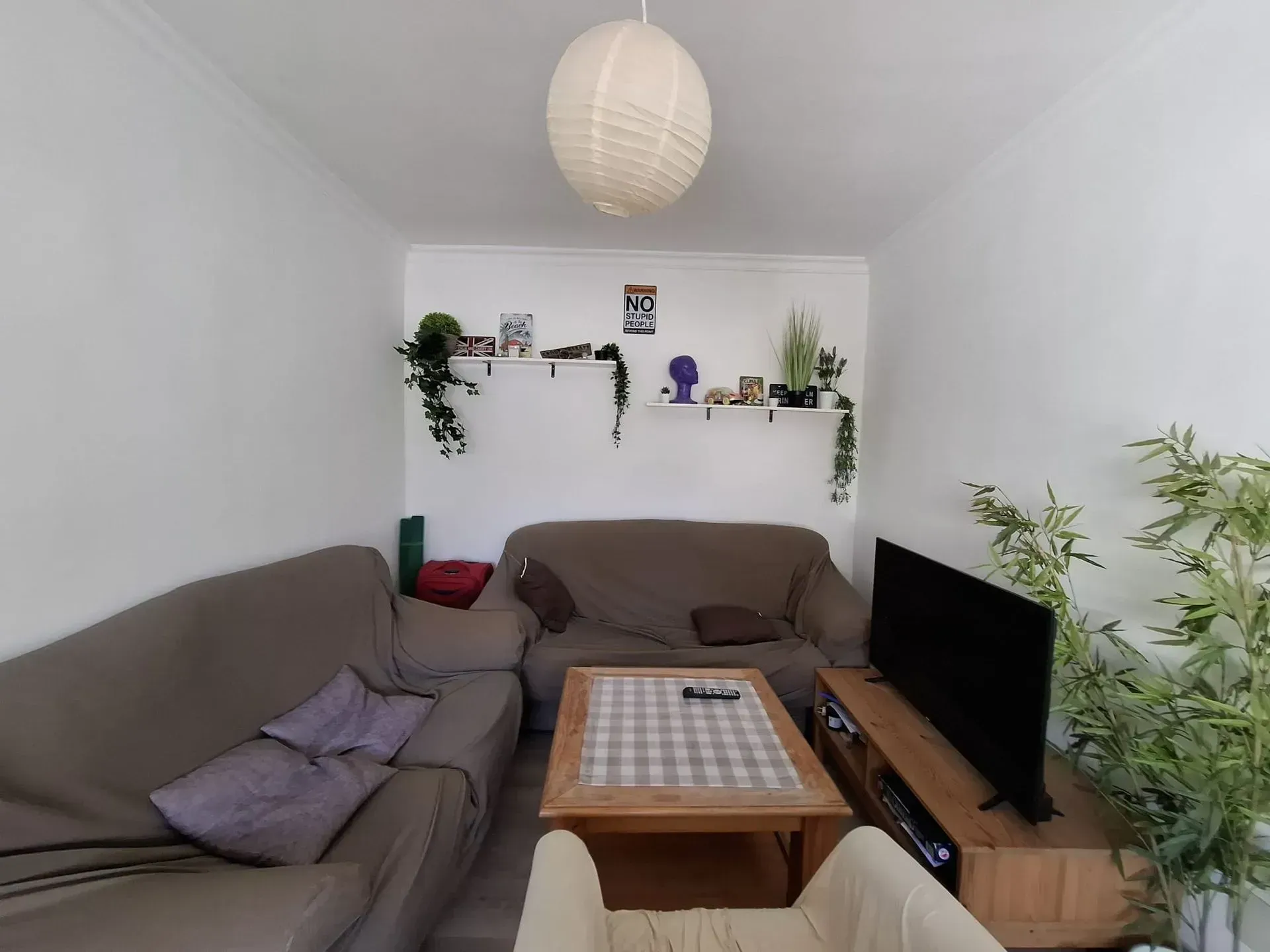 Acogedora sala de estar con dos sofás, una mesa de centro de madera, un televisor y estanterías con plantas y adornos.