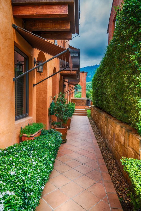 Estrecho camino de terracota bordeado de arbustos en flor y plantas en macetas entre dos edificios.