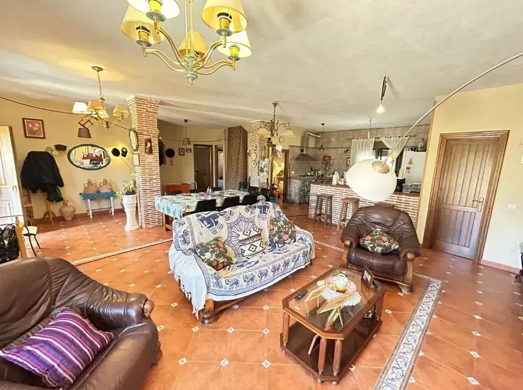 Sala de estar con sofá estampado, sillas de cuero, mesa de café y piso de baldosas, con iluminación decorativa.