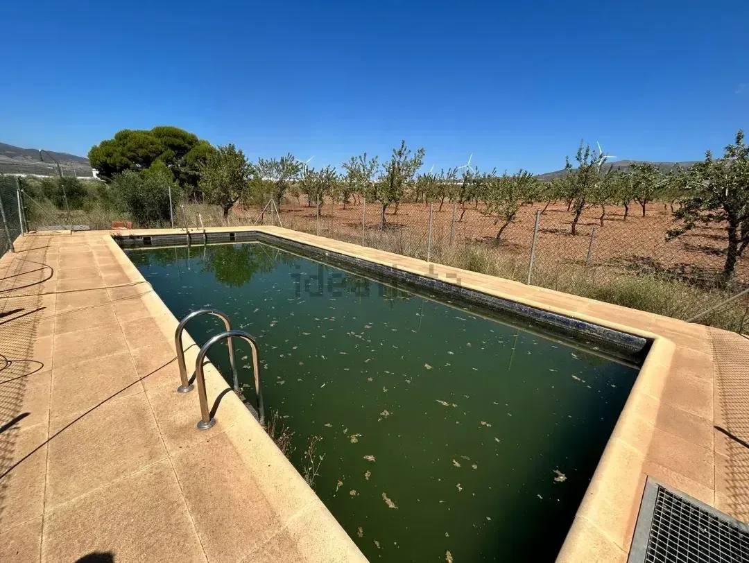 Una piscina rectangular abandonada, llena de agua verde, rodeada de hormigón y un paisaje rural.