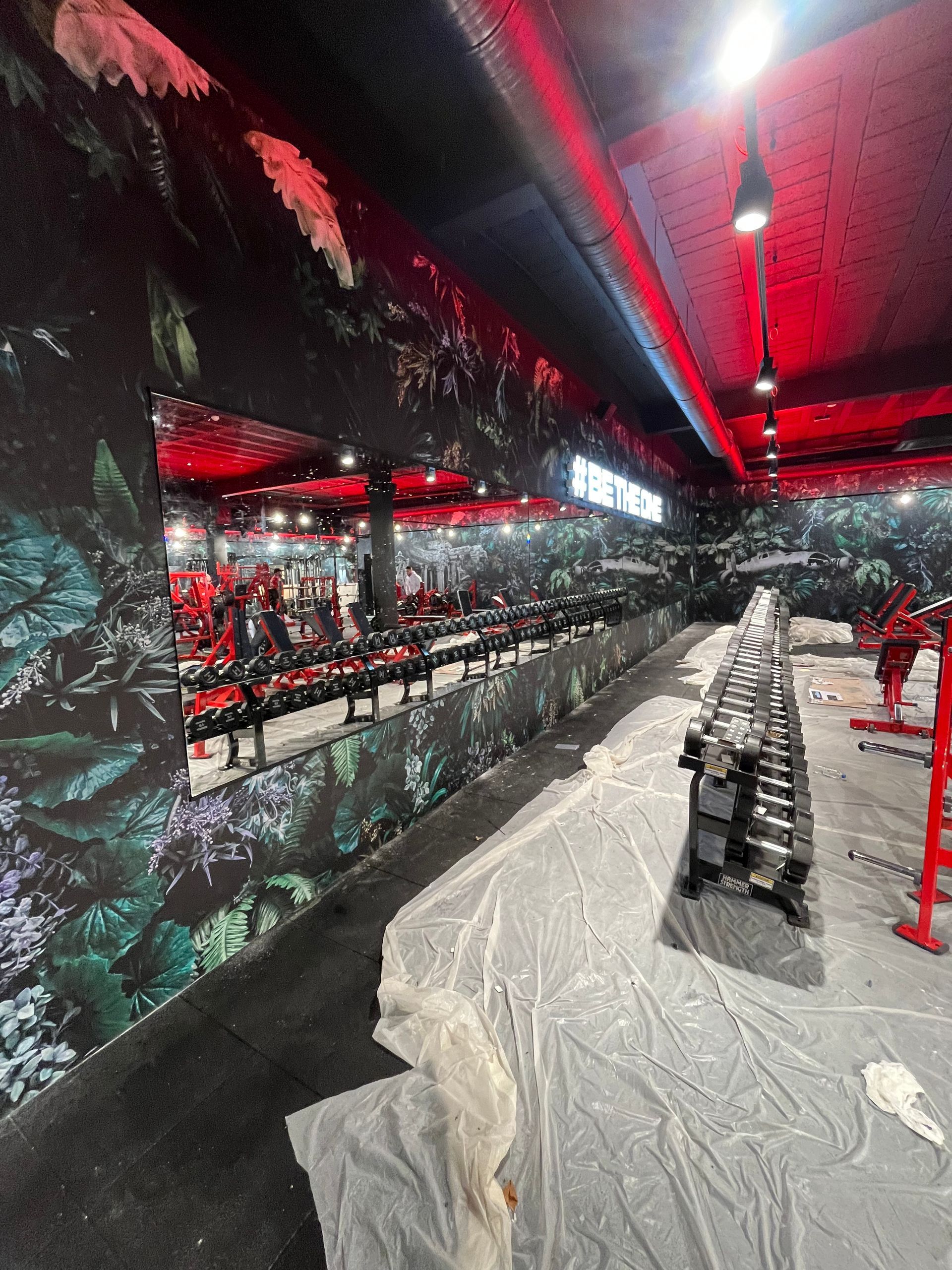 Intérieur d'une salle de sport avec des rangées d'haltères et d'appareils devant un miroir