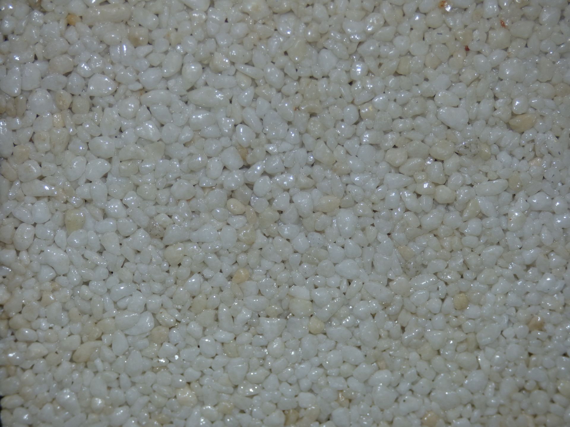 Petites pierres blanches et beiges formant une surface texturée.