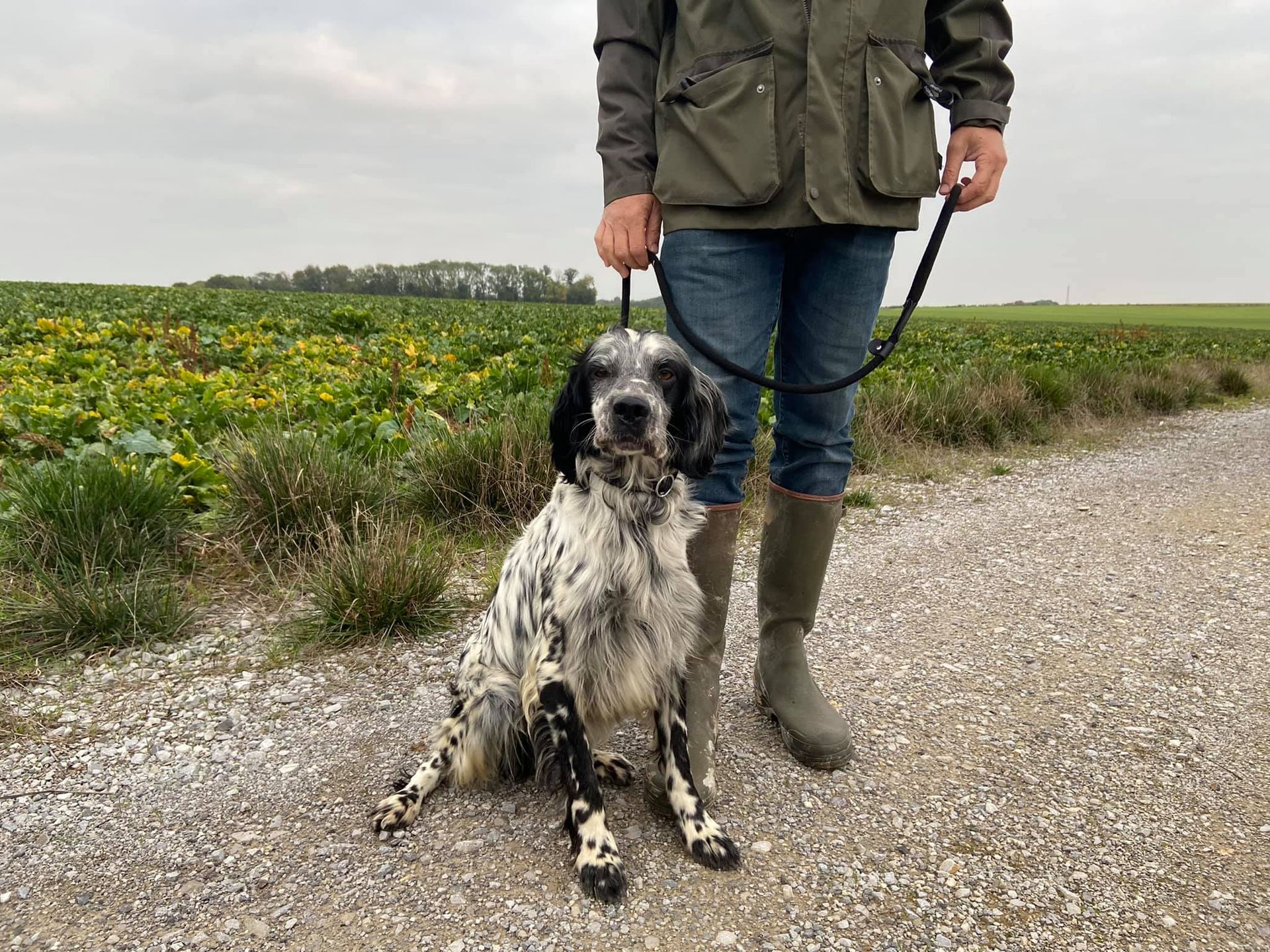 Chien de chasse avec son propriétaire