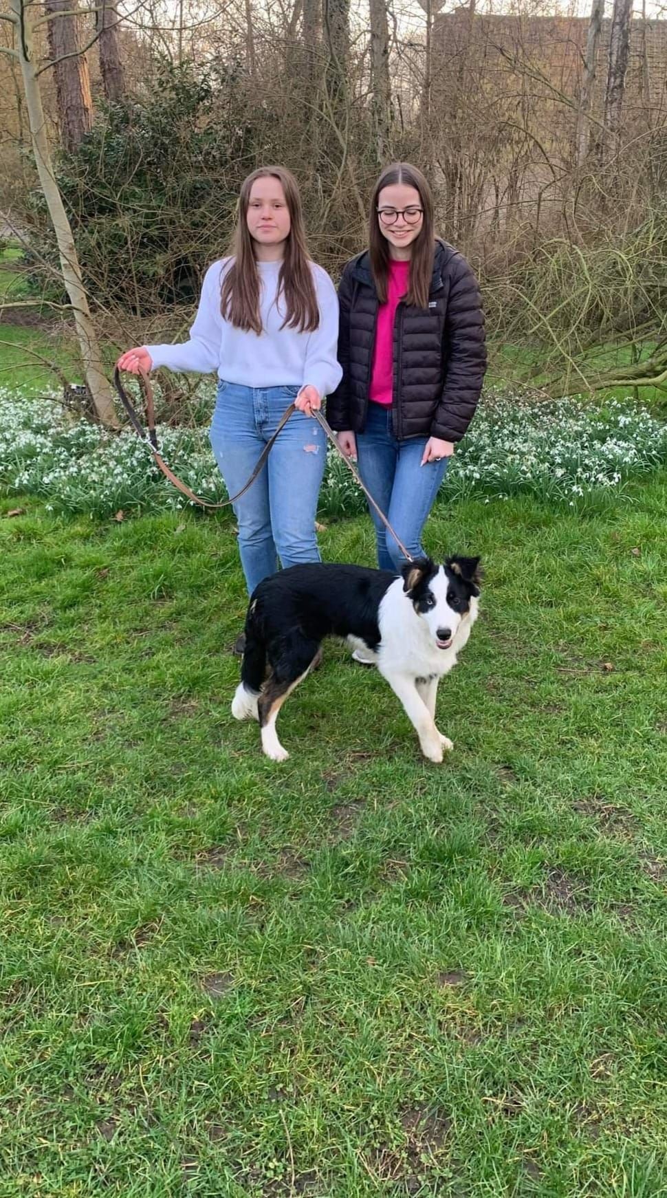 Chien de chasse avec ses propriétaires