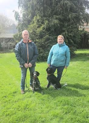 Éducation chien de chasse