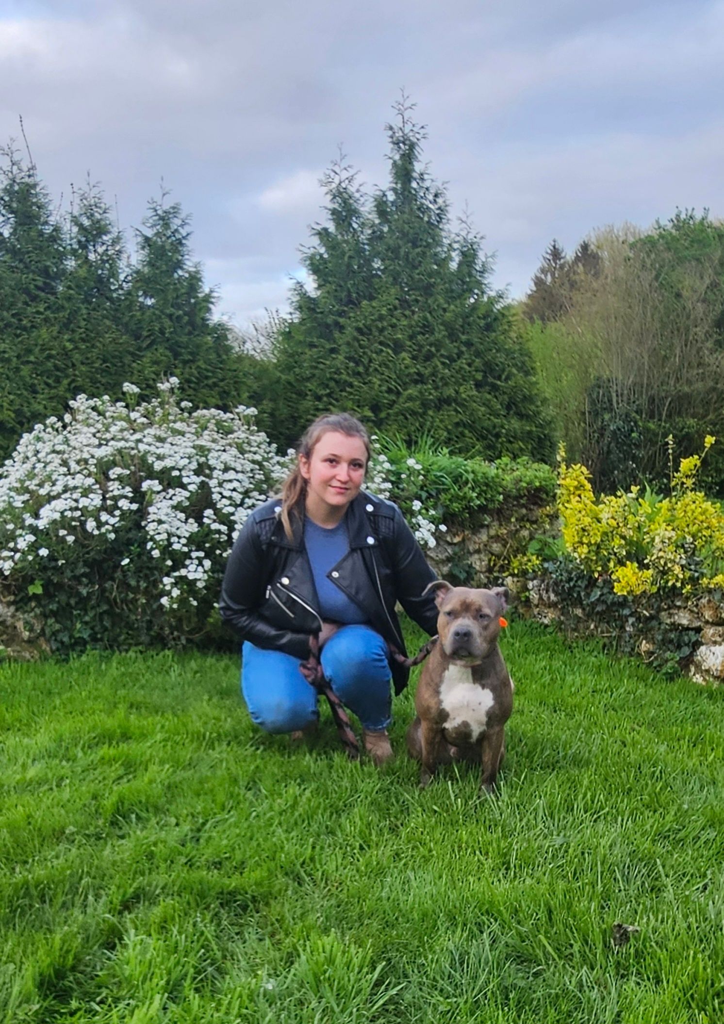 Séance de sociabilisation 