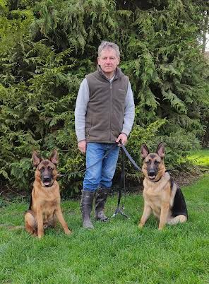 Dressage chien de garde