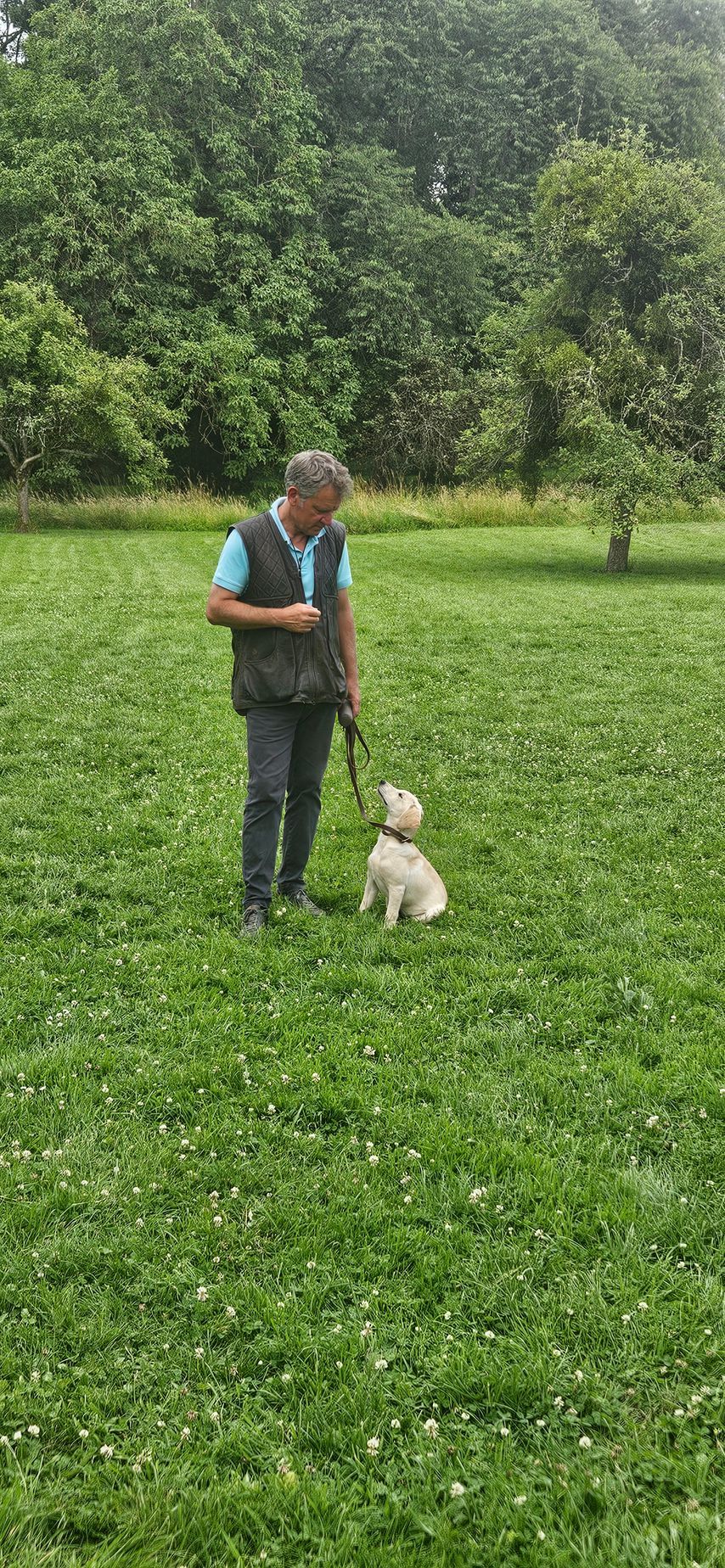 Éleveur canin en train de dresser un chiot assis, lui donnant des commandes