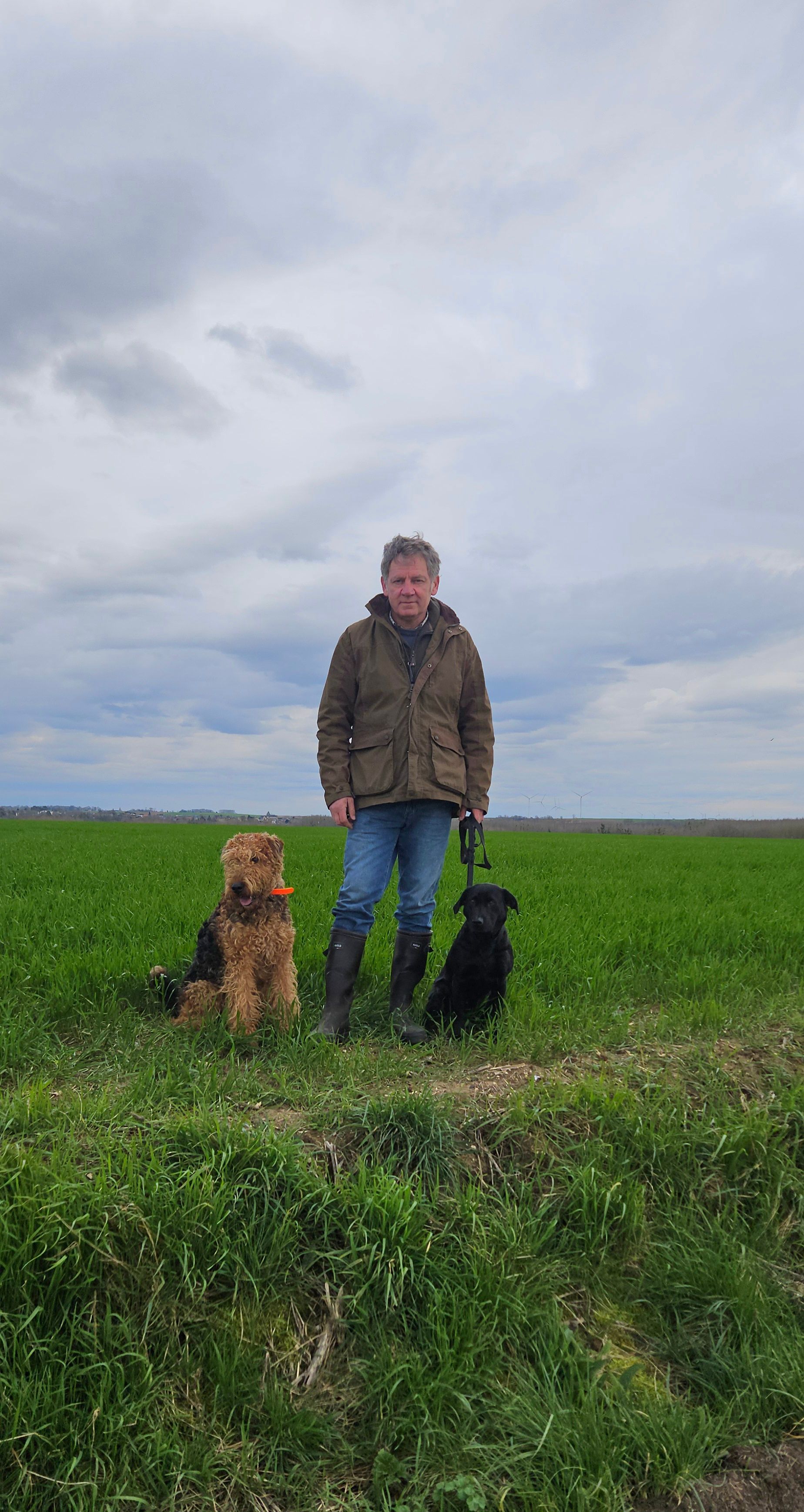 Dressage chiens de battue