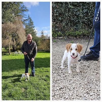 Aide à l'éducation sur un chiot sourd