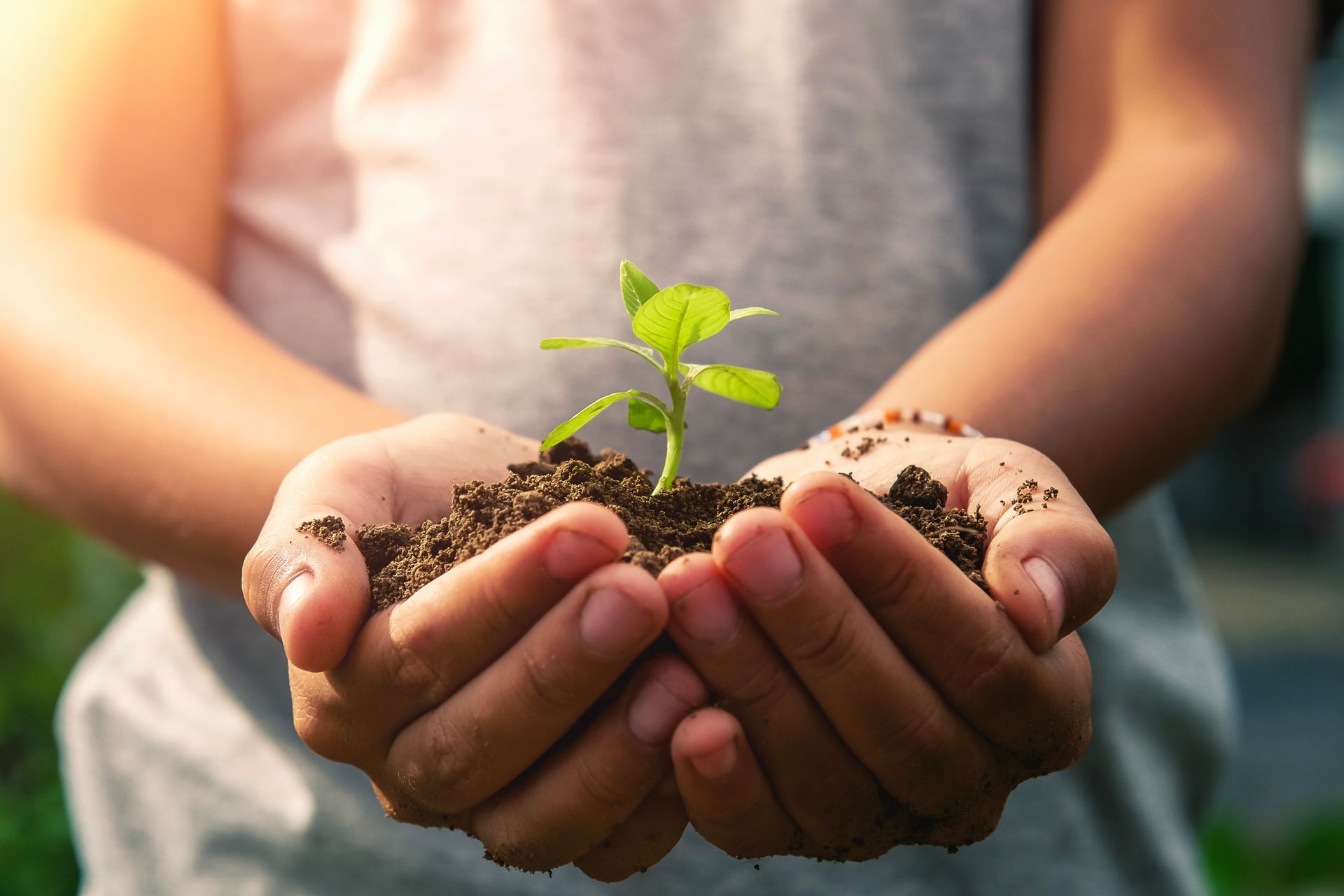 Enfant tenant de la terre et une plante dans les mains.