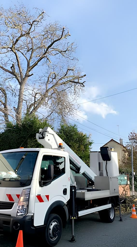 Camion blanc avec nacelle élévatrice à côté d'un arbre en cours d'élagage ; ciel bleu.