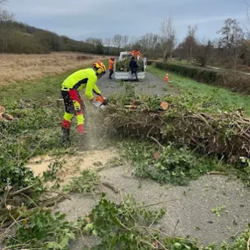 Un arboriste en tenue de sécurité utilise une tronçonneuse pour couper des branches sur une route. Un camion et des ouvriers sont visibles en arrière-plan.