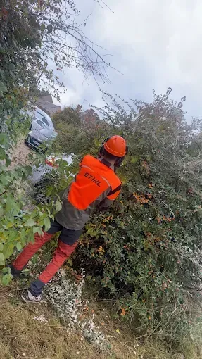 Une personne en tenue de sécurité orange taille des buissons près d'une voiture à flanc de colline.