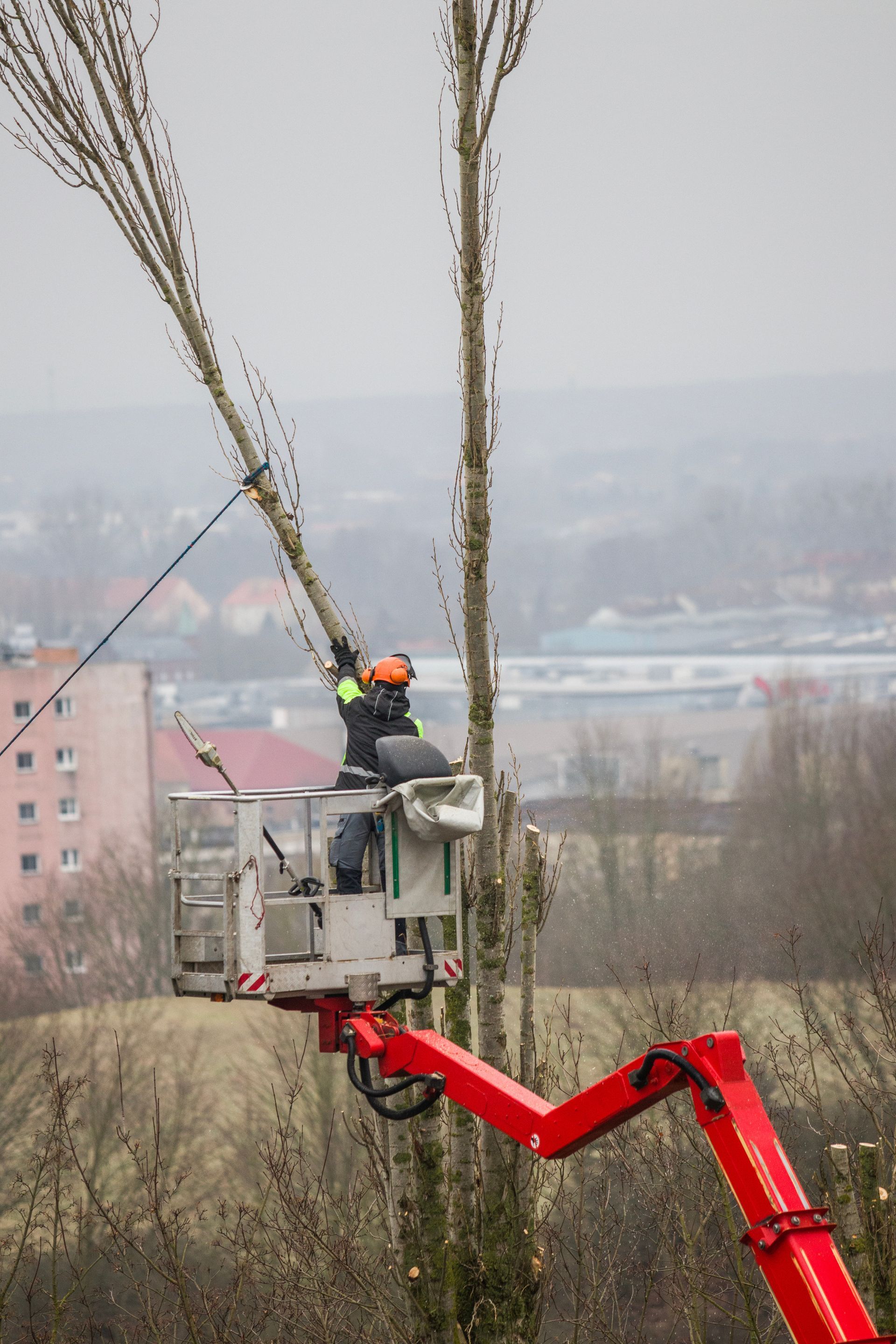 Un ouvrier, aux commandes d'une nacelle élévatrice, élague un grand arbre sur fond de paysage urbain flou.