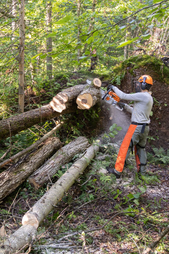 Une personne utilise une tronçonneuse pour couper une bûche en forêt. Elle porte un équipement de sécurité : casque, visière et jambières.
