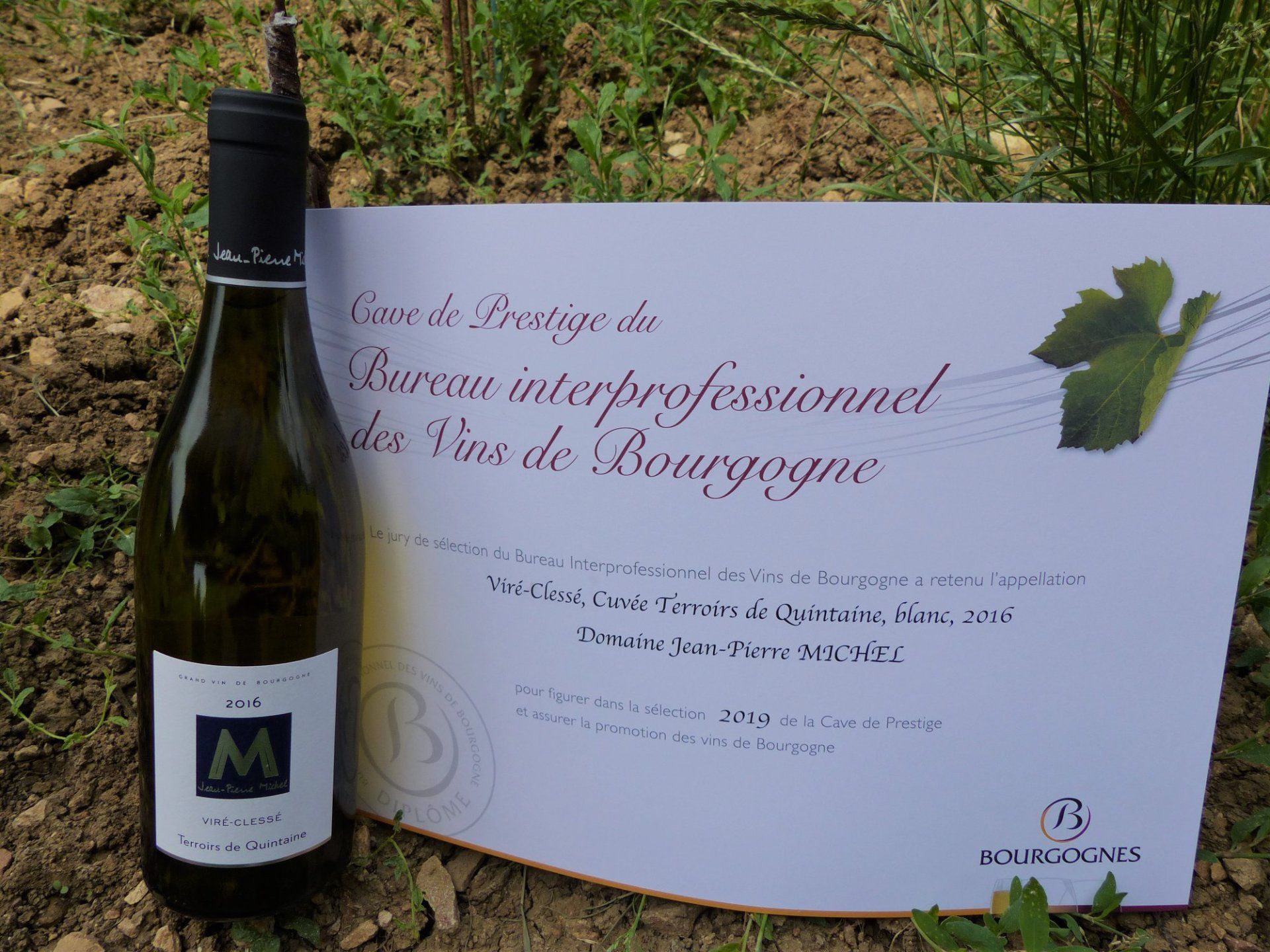 Sélection à la Cave de Prestige du BIVB