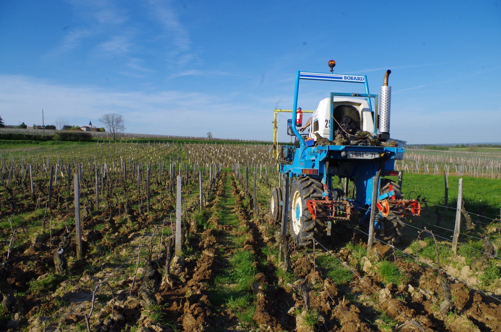 Décavaillonage  de printemps